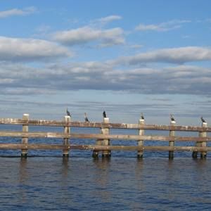 Meet your Posher, Marina